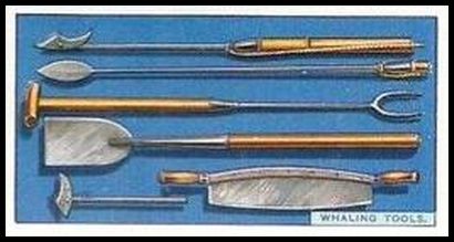 19 Whaling Tools (old style)